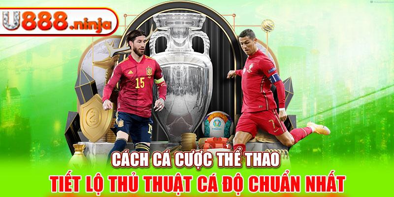 Khám phá tai co vua apk và hướng dẫn tải tai co vua apk an toàn cho người chơi