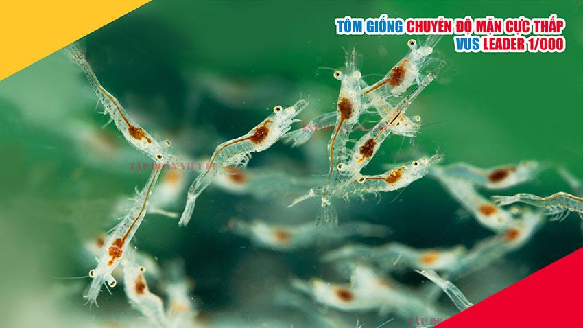 Khám phá w88 link vao mới nhất để trải nghiệm w88 the thao đỉnh cao