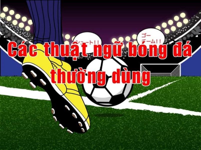 Khám phá những trò chơi hay nhất năm và lựa chọn những trò chơi hay phù hợp với bạn