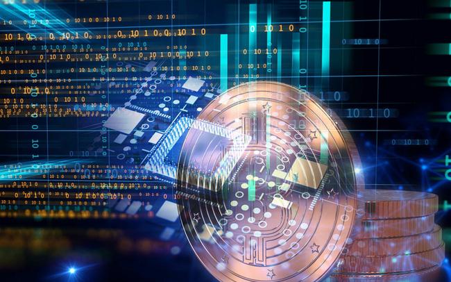 Cập nhật đá gà casino trực tiếp hôm nay với kết quả mới nhất và tỷ lệ cược hấp dẫn